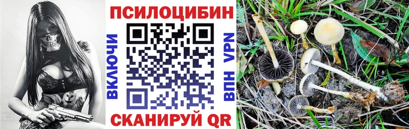 MEGA онион  Щучье  Псилоцибиновые грибы мухоморы  цены наркотик 