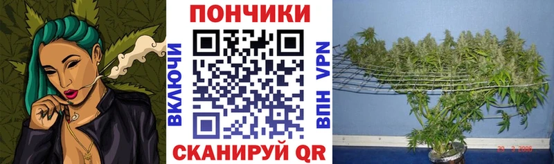 Каннабис MAZAR  Щучье 